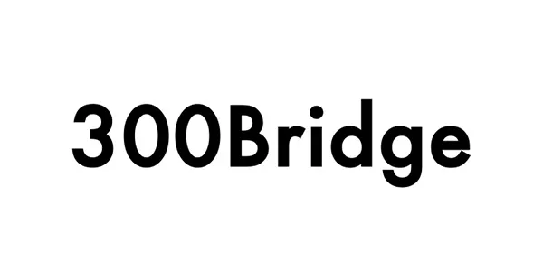 株式会社300Bridge